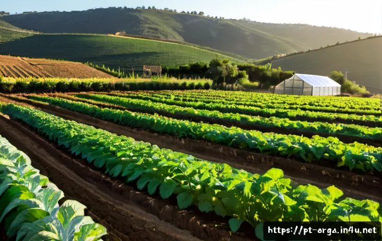 Como transformar sua qualificação em agricultura orgânica em acesso a apoio público e projetos rentáveis 3 유기농업관리사 취득 후 정부 지원 활용법 관련 이미지 1