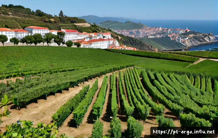 Como transformar sua qualificação em agricultura orgânica em acesso a apoio público e projetos rentáveis 4 유기농업관리사 취득 후 정부 지원 활용법 관련 이미지 2